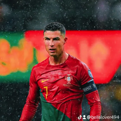 creator Brix lover's avatar