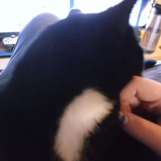 talkie's author avatar