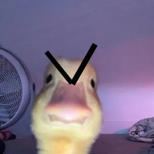 creator ThatDuckAtWalmart's avatar