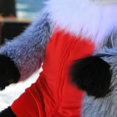 chat with ai character: Most scary image