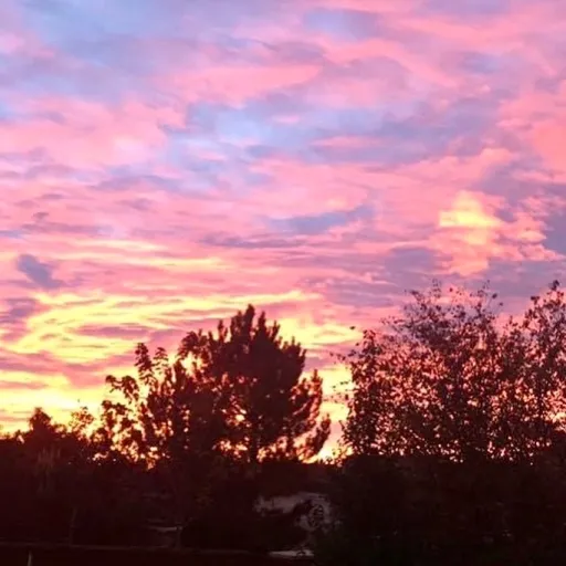 creator Fallout skys's avatar