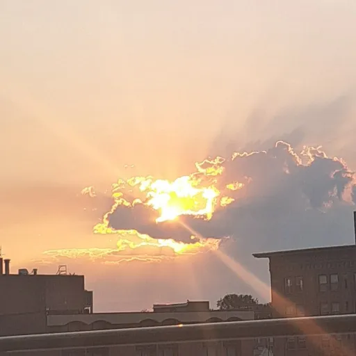 creator brelynda's avatar