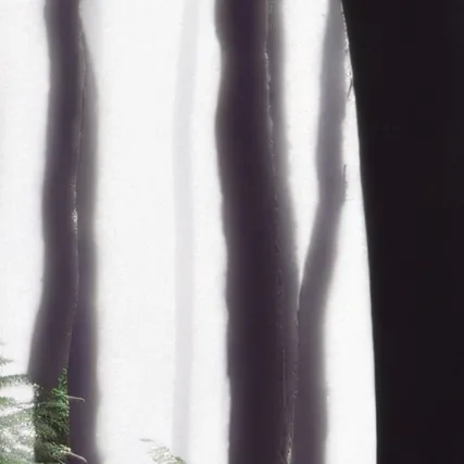 chat with ai character: fpe x Siren head