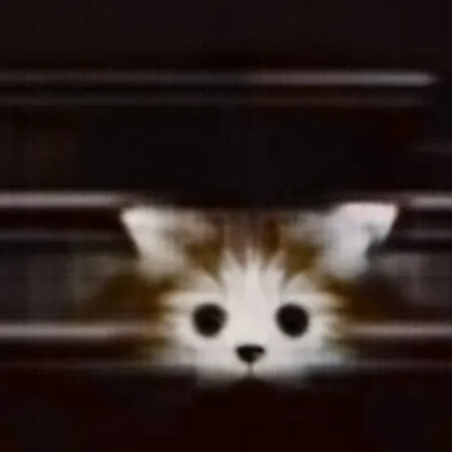 chat with ai character: cat god