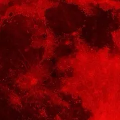 creator Shah Luna's avatar