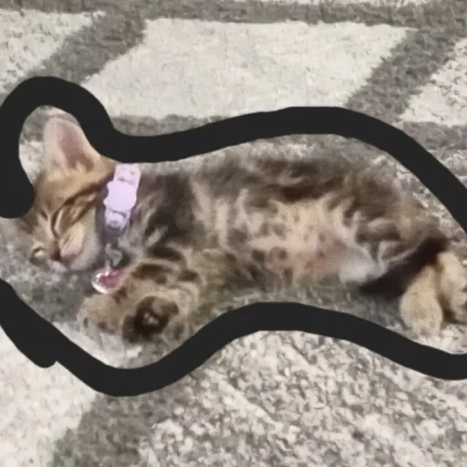 creator sweetie_tooth's avatar