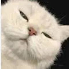 creator UrInnocentGirly's avatar