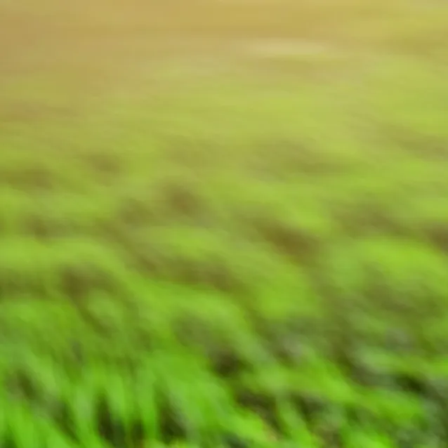 chat with ai character: grass