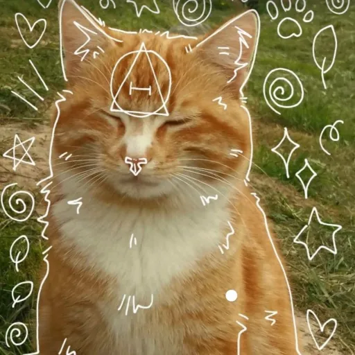 creator Kay_on_paws🐾's avatar