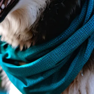 chat with ai character: Husk 