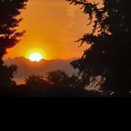 creator CG_Turtles's avatar