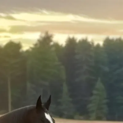 chat with ai character: FREE REIN