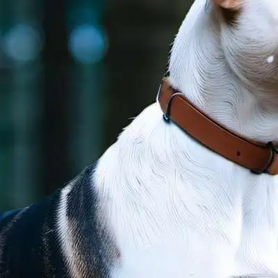 chat with ai character: Dog