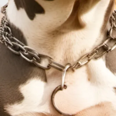 chat with ai character: Putbull