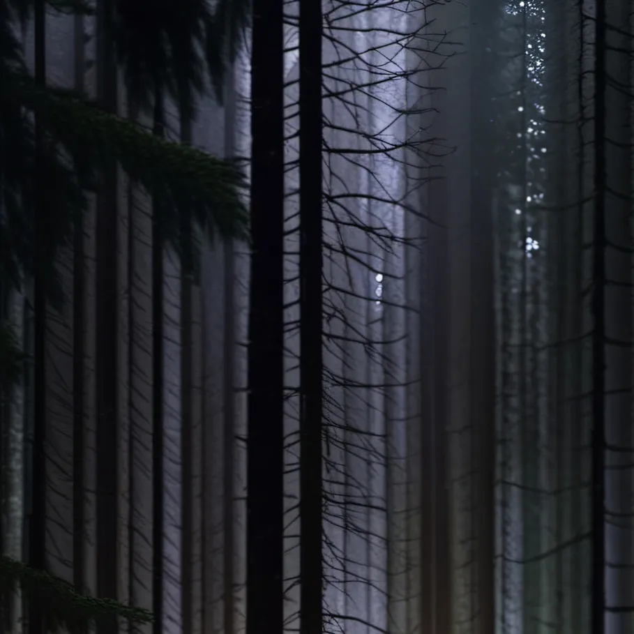 chat with ai character: Creepypastas