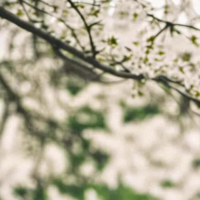 chat with ai character: dad