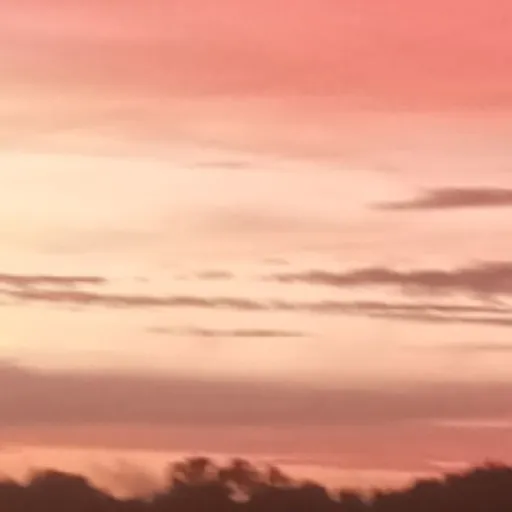 creator Rose -^-'s avatar