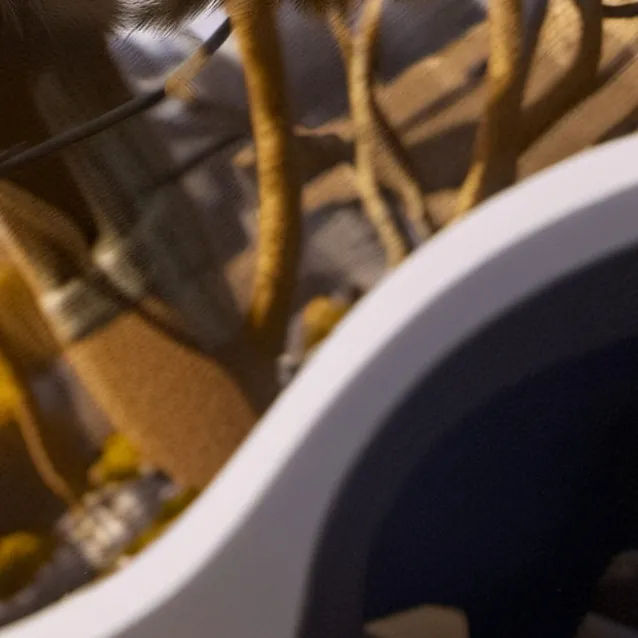 chat with ai character: overlord meeting