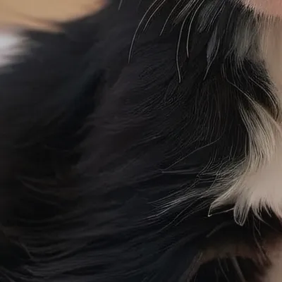 chat with ai character: Blade