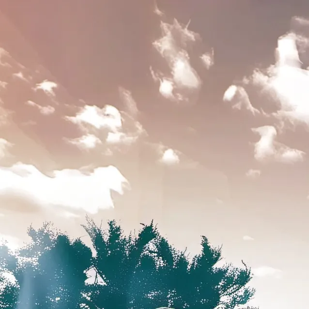 chat with ai character: Levi