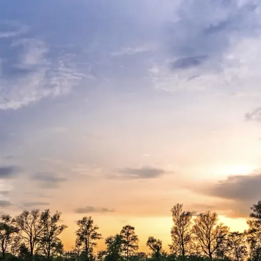 creator Jaco4's avatar