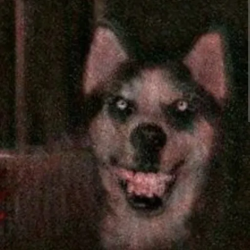 creator Crystal wolf 2's avatar