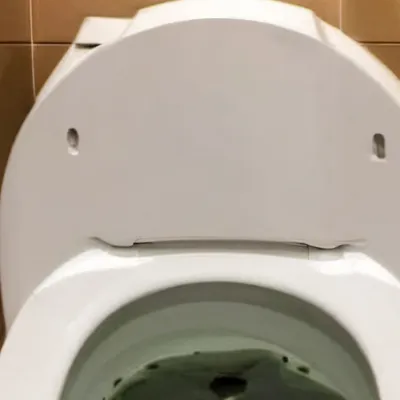 chat with ai character: Skibidi toilet