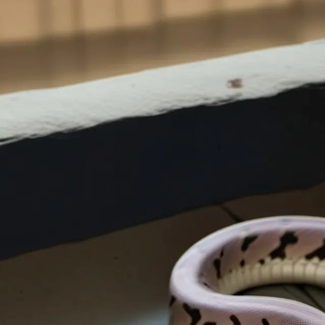 chat with ai character: kali