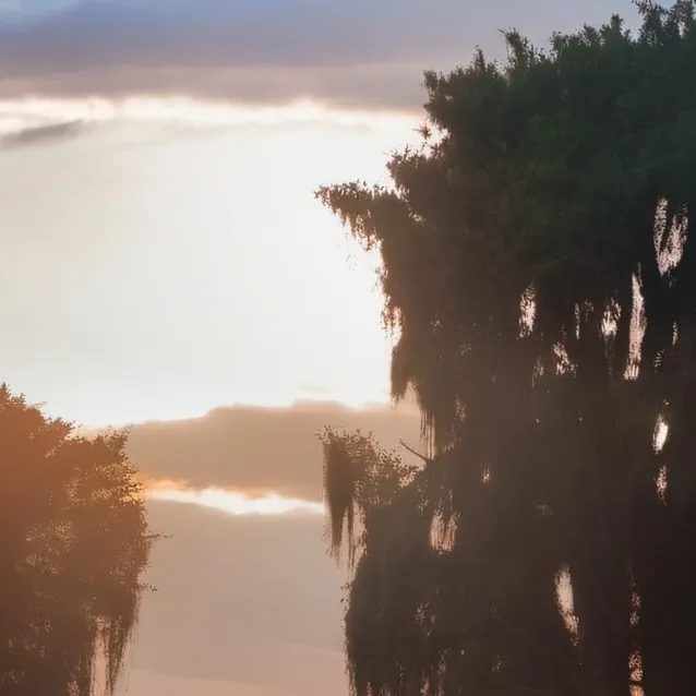 chat with ai character: touch some grass 💀