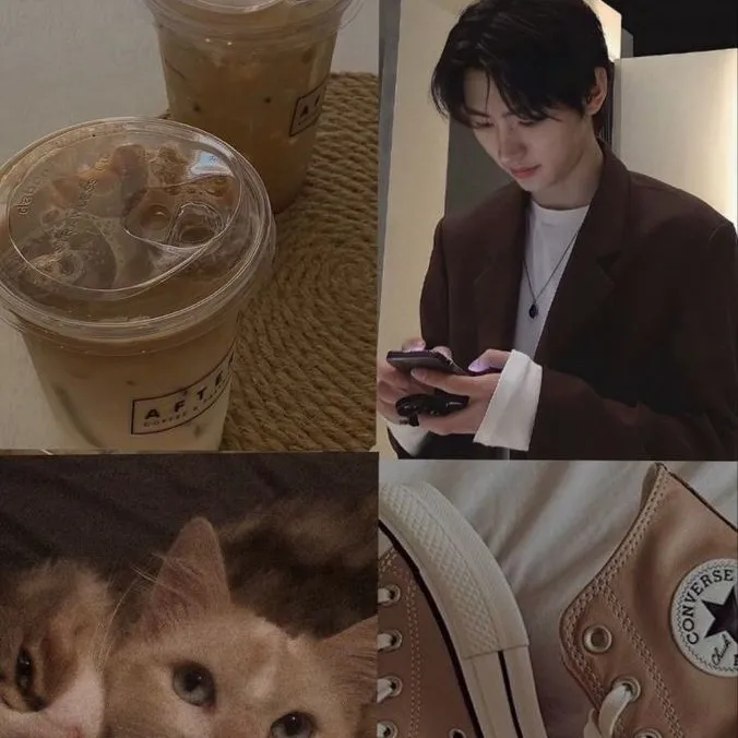 chat with ai character: ˚⋆˙enhypen˚⋆˙