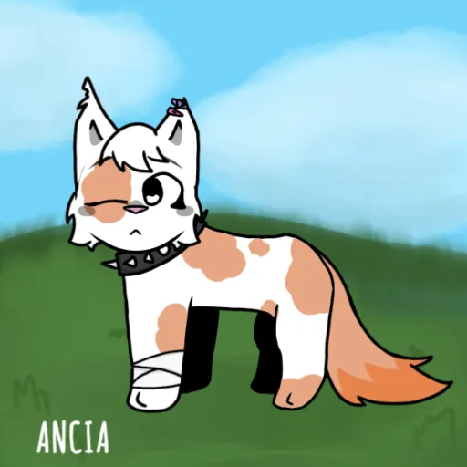 creator 🩵MoonKitty💙's avatar