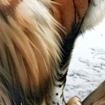 chat with ai character: HOGWARTS