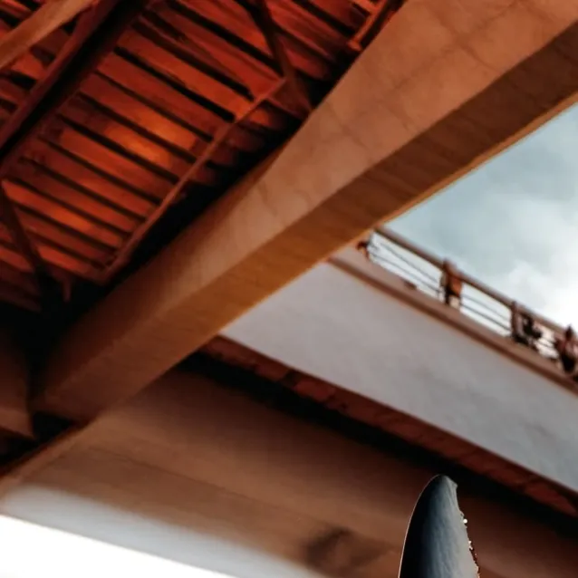 chat with ai character: JAWS shark