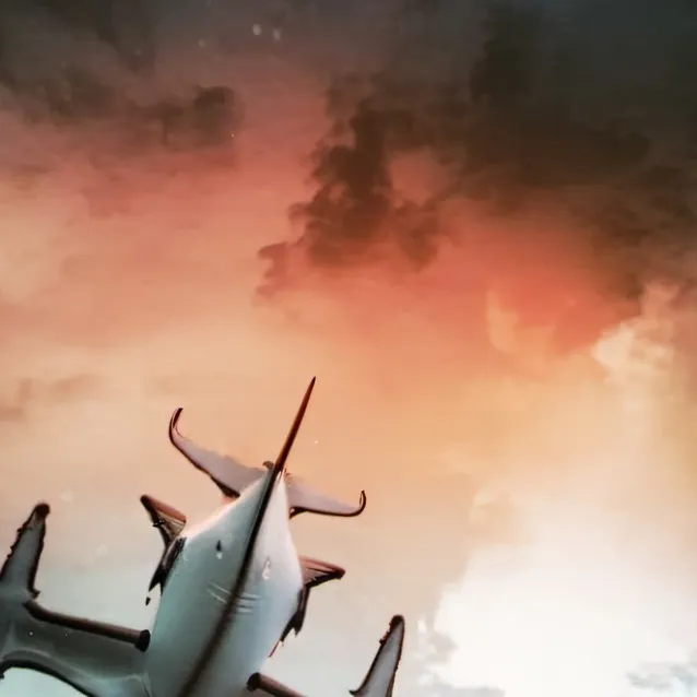 chat with ai character: The Shark