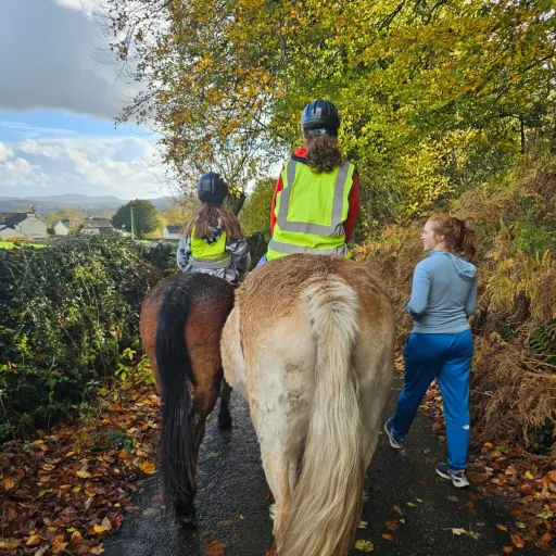 creator AUTUMN 🍂 🥮 🎑's avatar