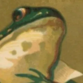 creator Fast&TheCurious's avatar