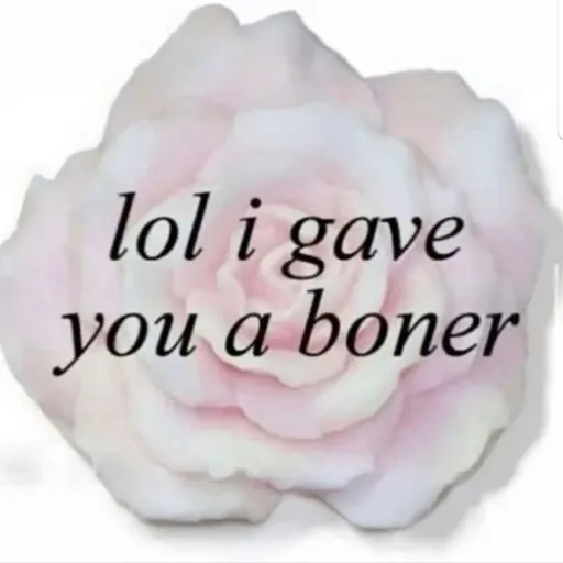 creator LOONA💕💕💕's avatar