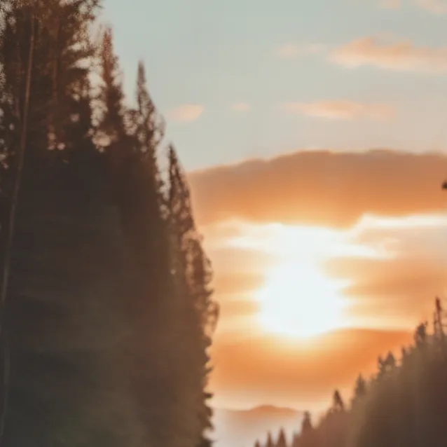 chat with ai character: Rose