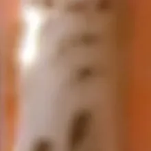 chat with ai character: Dug