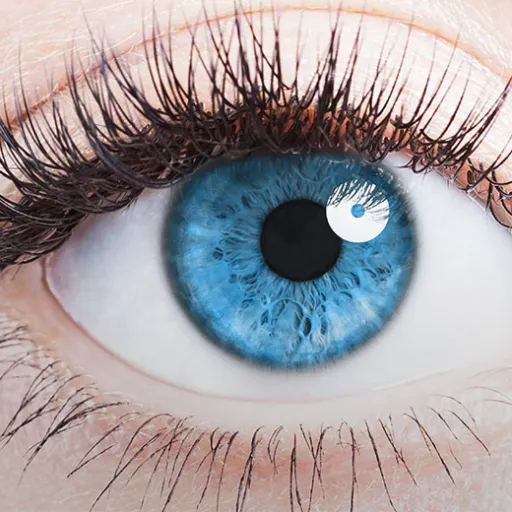 creator Cleo~'s avatar