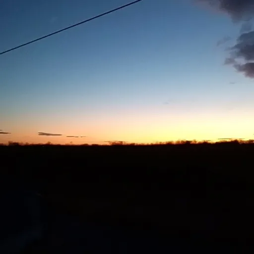 creator Lillionna.'s avatar