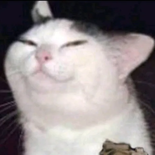 creator Talkior-oLsM8jXT's avatar