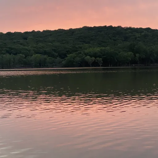 creator Butterfly daisy🦋's avatar