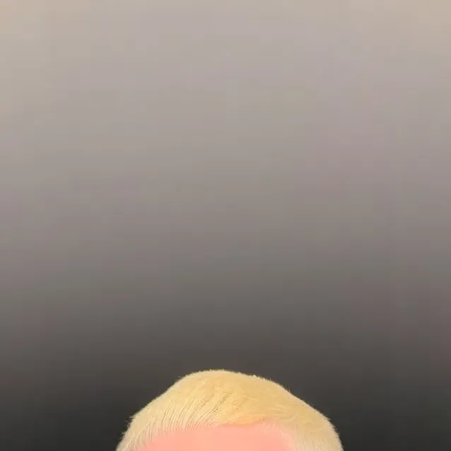 chat with ai character: Eminem 