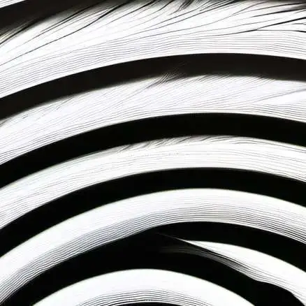 chat with ai character: Reprogramming