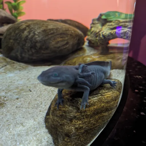 creator ♥️🧡💛💚💙🩵💜🩷💗🌈💐🪩🪩love's avatar