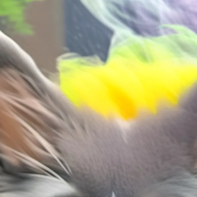 chat with ai character: 🐀