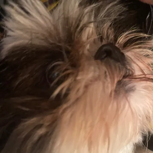 creator Kal-el 7001987's avatar