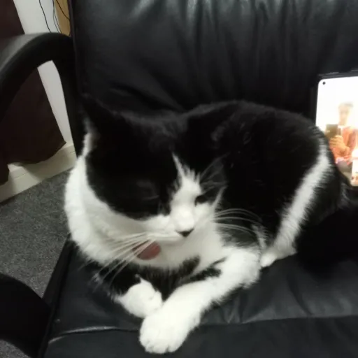 talkie's author avatar