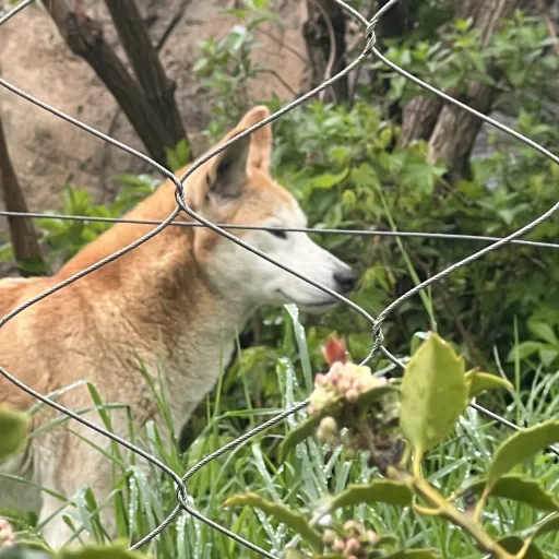 creator TheSkibidiRizzlers's avatar